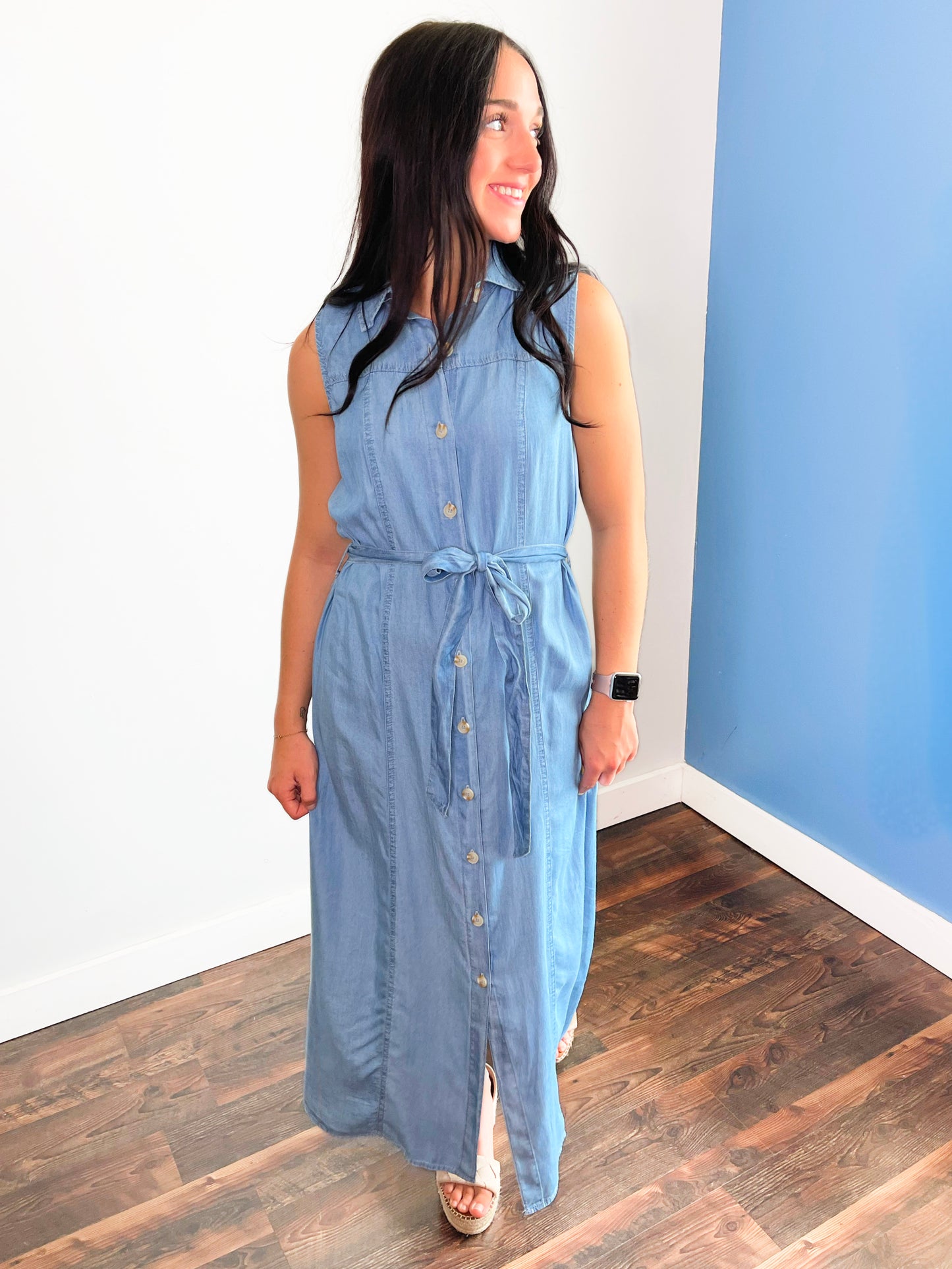 Sloane Button Down Chambray Dress