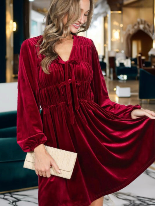Velvet Bow Detail Dress