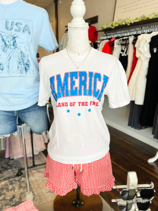 America, Land of the Free Tee